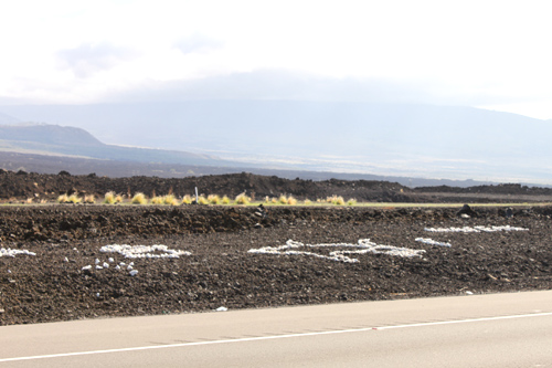 道路の向こう側には魚の絵も