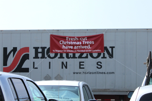 クリスマス・ツリーが到着