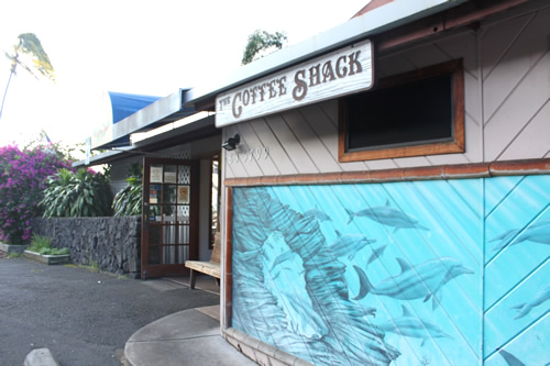 外壁には海とイルカの絵