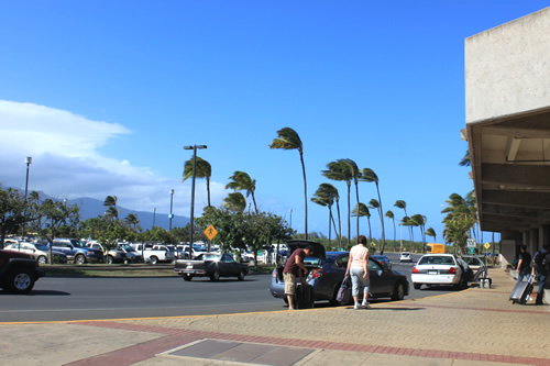 外に出てびっくり！風が強い！！