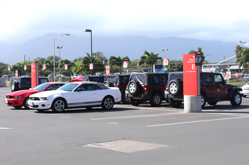 車種はとっても豊富