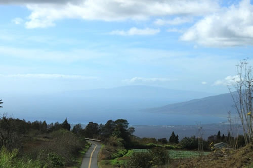 海まで見渡せます