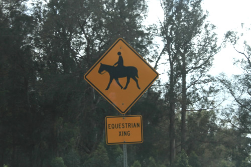 馬に乗った人にも注意!