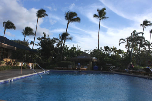 プールもあります