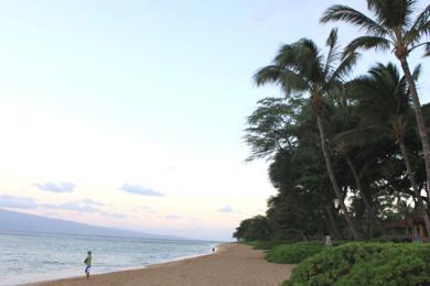 ハワイ マウイ島 マウイ島のビーチについて トラベルコちゃんさんの旅行ブログ トラベルコ