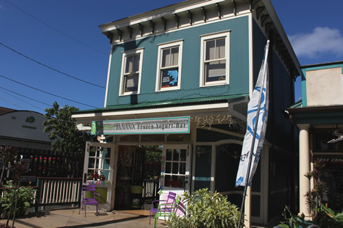 流行のフローズンヨーグルトのお店