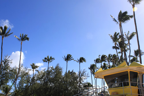 ビュンビュン風が吹いています