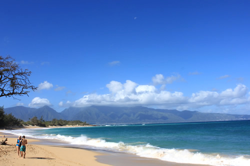 波が荒いので泳いでいる人はいません