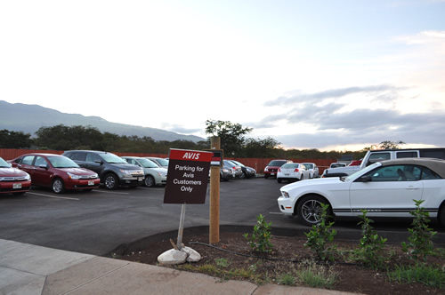 数は少ないですが車種は揃っています