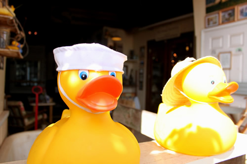 なぜかアヒルが出迎えてくれます