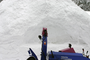 この前で写真を撮るのが決まり