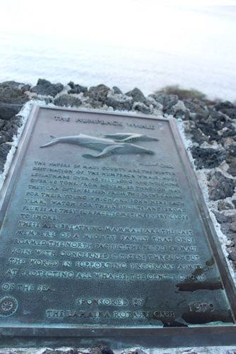 ルックアウトがあったので停車して見物