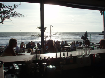 プルメリアブログ エコビーチ2