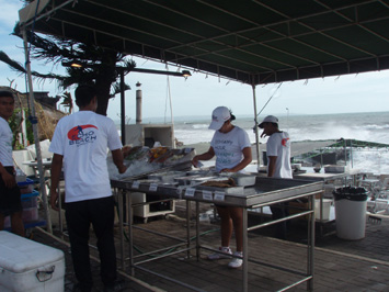 プルメリアブログ エコビーチ4