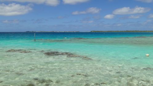 この見事なグラデーション!!