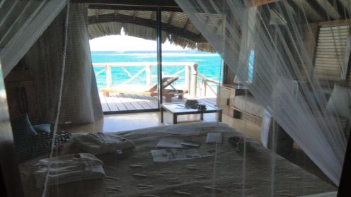 透けて見える海がきれいすぎます!