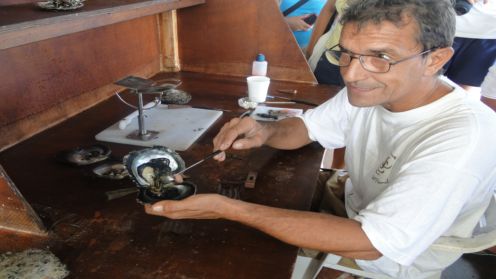 真珠養殖のプロ★☆