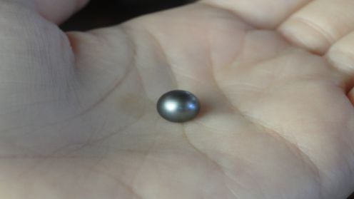 ついに生まれました！！