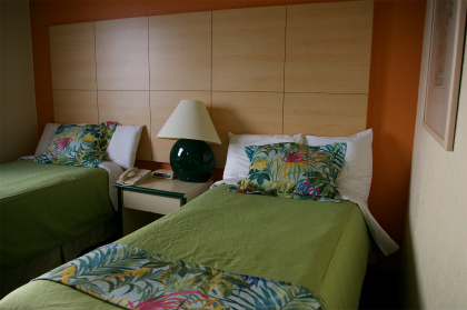 マイレスカイコート