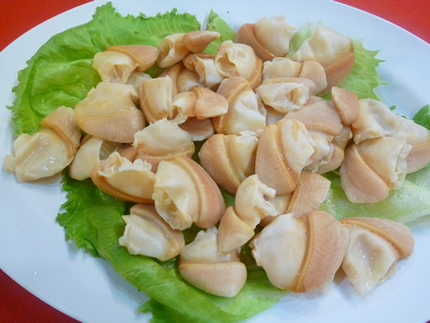 スチームボート９