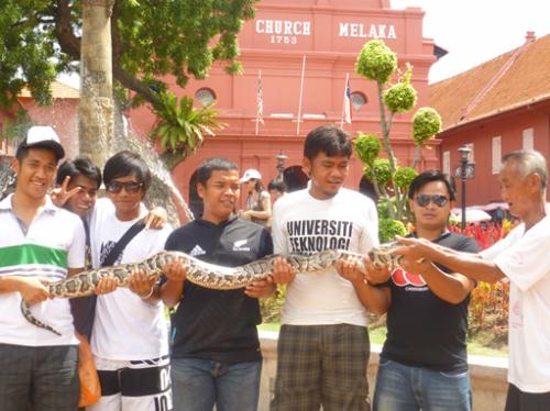 オランダ広場３