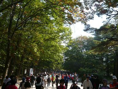 紅葉のベストシーズン、人もたくさんです。