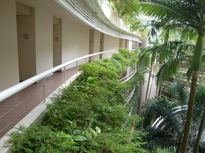 ヒルトンホテル