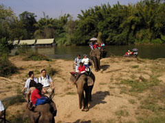 象トレッキング