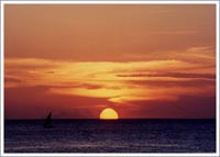 コバルトブルーの海１