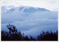 キリマンジャロを見たくて、１