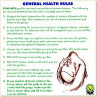 ゴリラに感染（うつ）すな！２