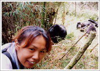 森の妖精・ゴリラのベイビー 1