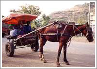 世界遺産「ラリベラ」3