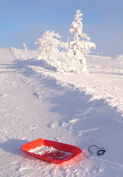 プラスティックのシンプルな橇