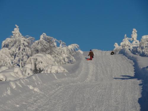 歩いてゆっくり下ってもよし
