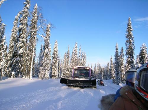 アメジスト鉱山への道をひらくブル