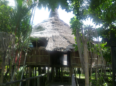 ビダユ族のロングハウス