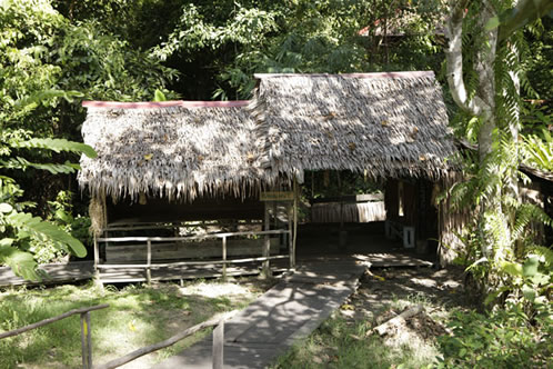プナン族の小屋