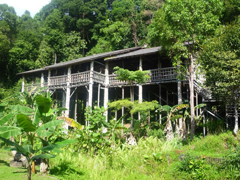 オランウル族ロングハウス