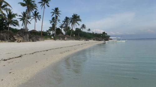 パラダイスビーチ