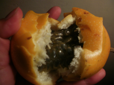 グラナディージャ