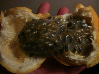 グラナディージャ