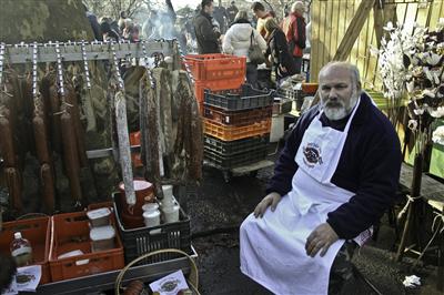 マンガリッツァ1