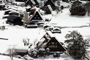 昨日降雪後の白川郷全景