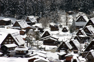 茅葺き屋根に雪が積もりました