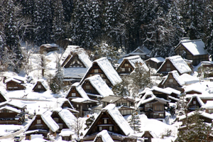 明善寺周辺の合掌造り