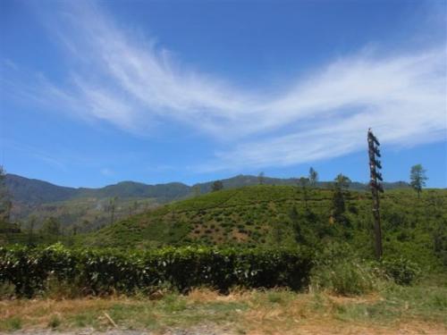 スリランカ 自然