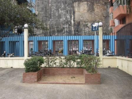 ペットのトイレ２