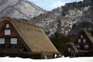 まだ雪に隠れて