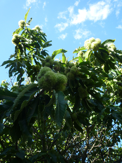 Ｐ１１２-０３４Ｆ